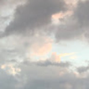 Meet your Posher, Reed